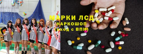 стаф Володарск