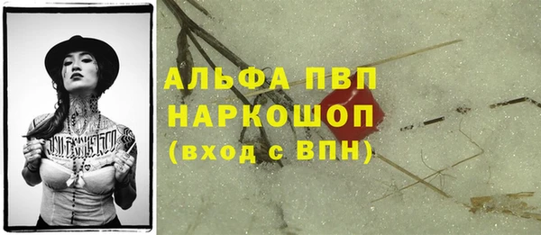 стаф Володарск